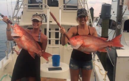 Booking Fishing Charters 2017 Red Snapper Season 06