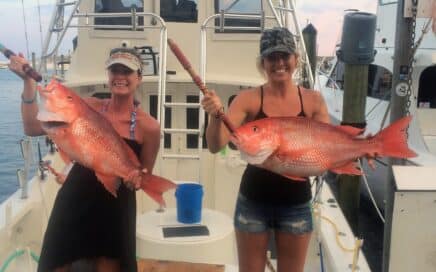Booking Charters for 2018 Red Snapper Season