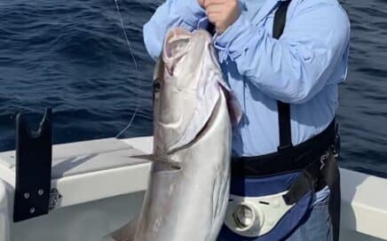 Now Booking Charters for Amberjack Season