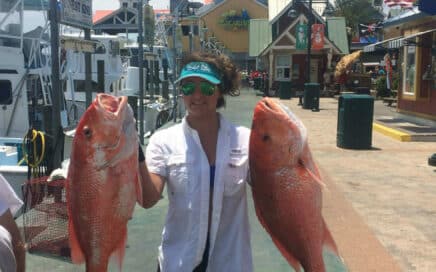 Now Booking Red Snapper Fishing Charters