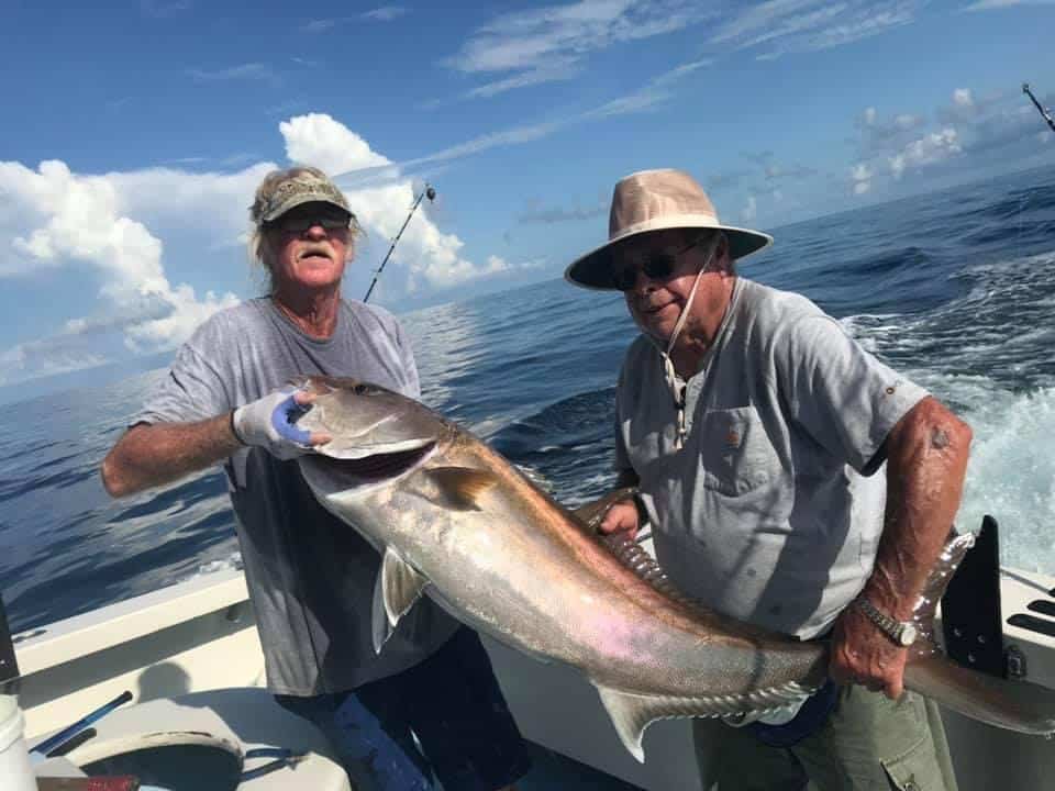 Amberjack Fishing Trips Available Now