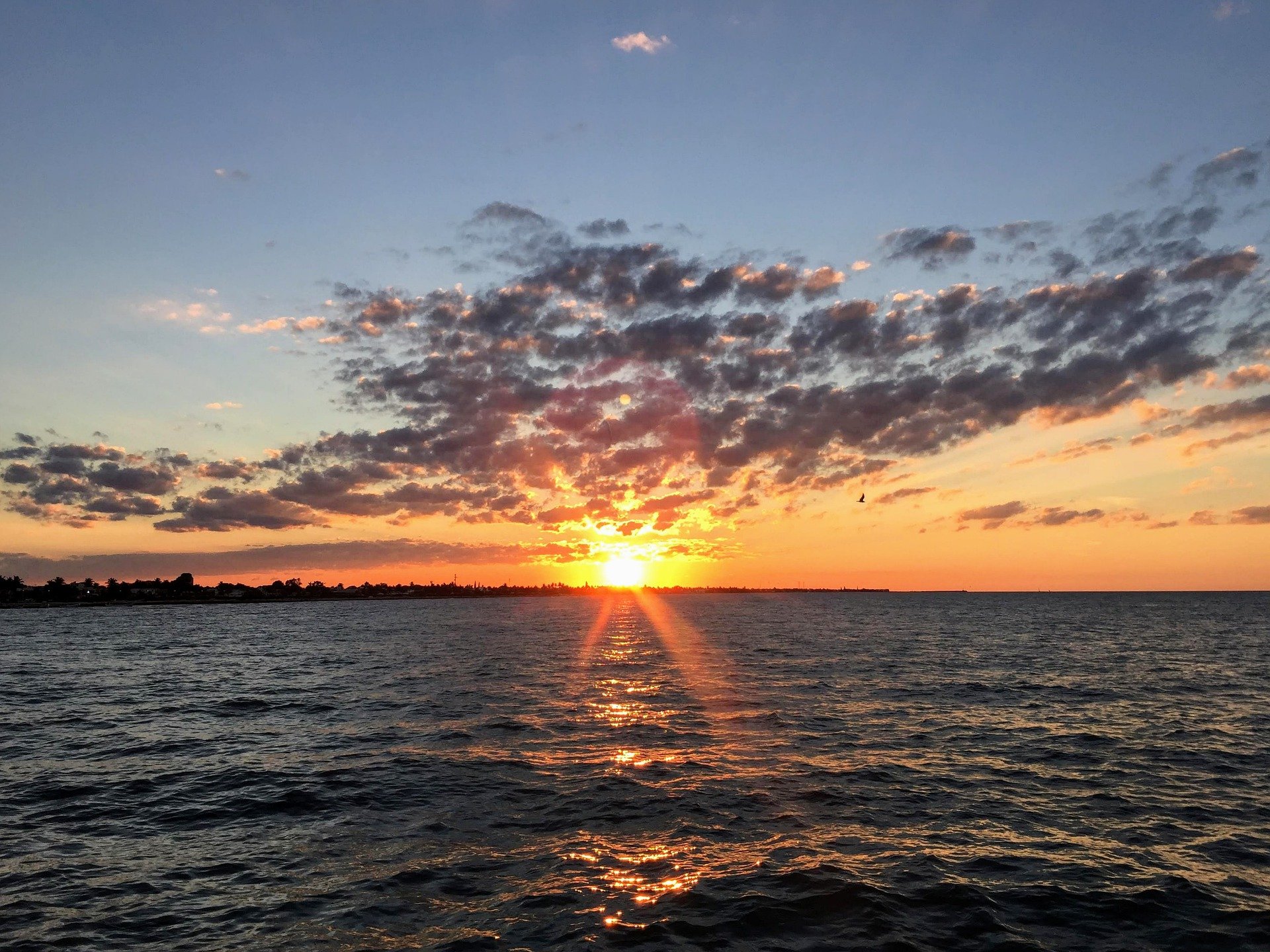 Amberjack Fishing On The Gulf Of Mexico Featured Image