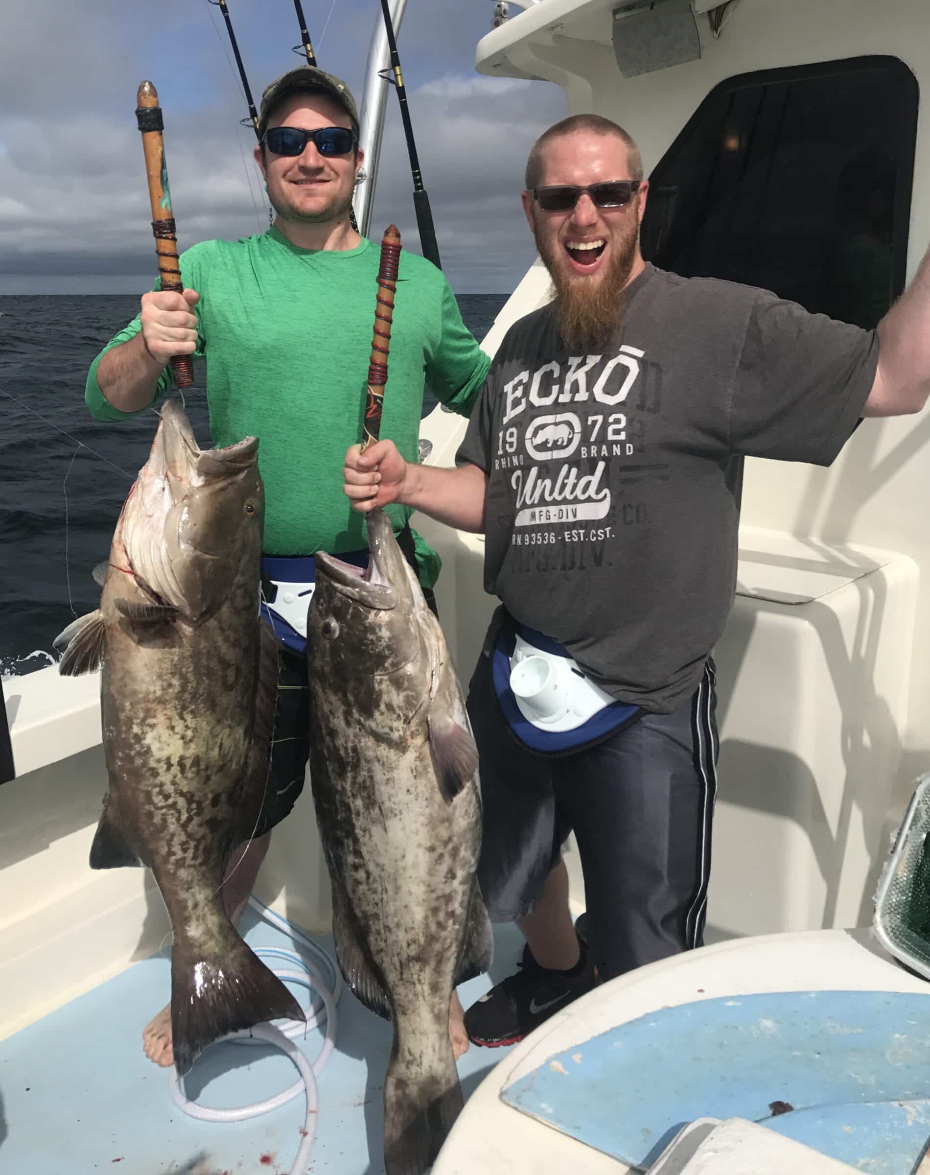 Pair of Gag Groupers