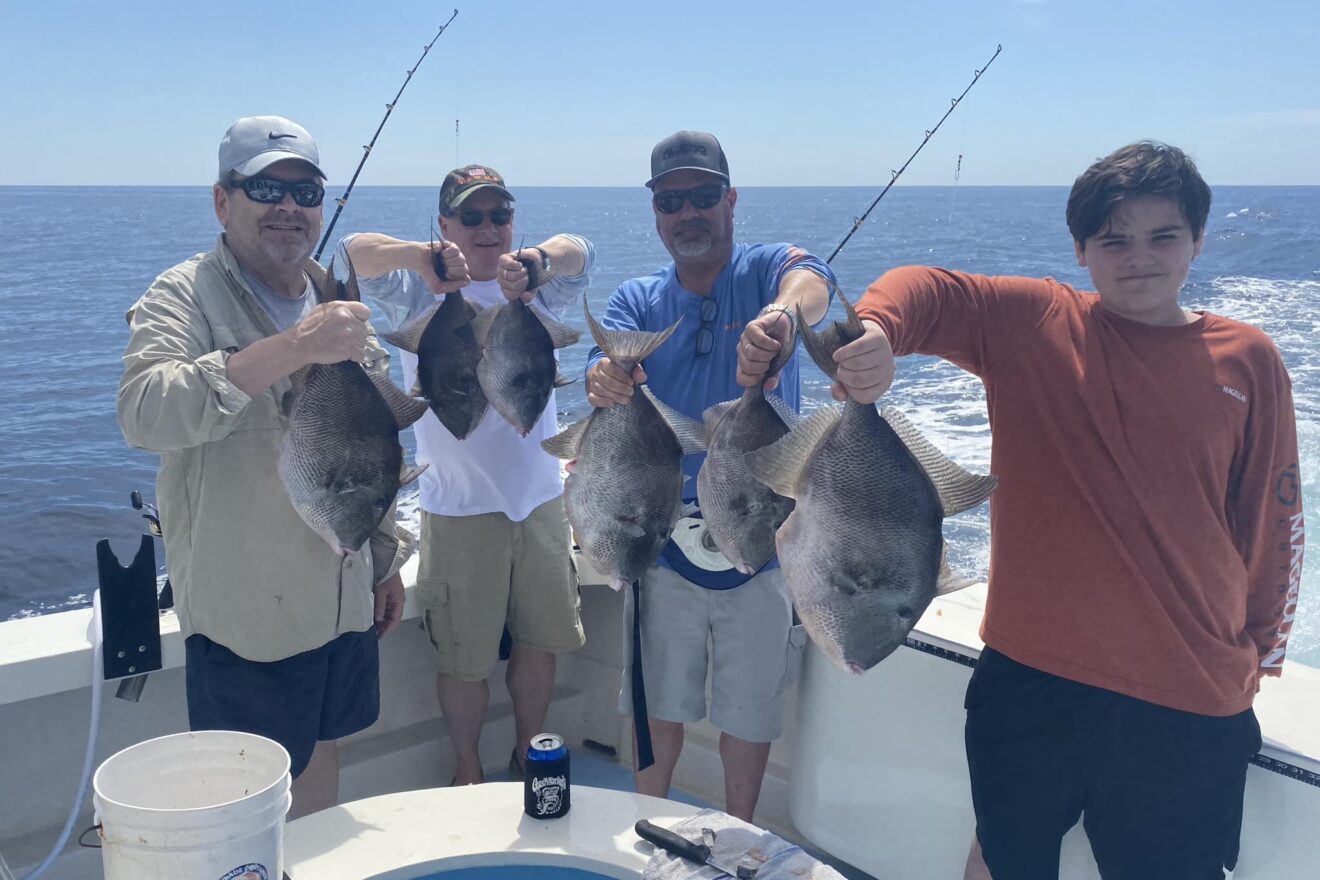 Gray Triggerfish Season Opens 01