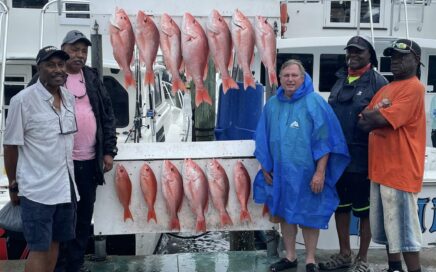 Red Snapper Season Opens 01