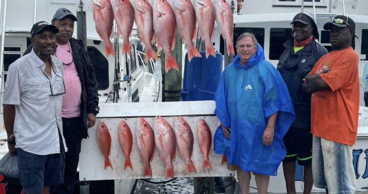 Red Snapper Season Opens 01