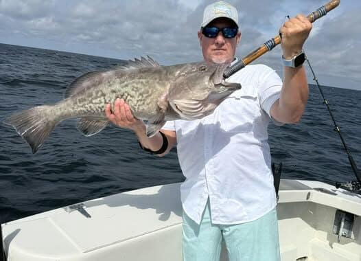 Gag Grouper Season 02